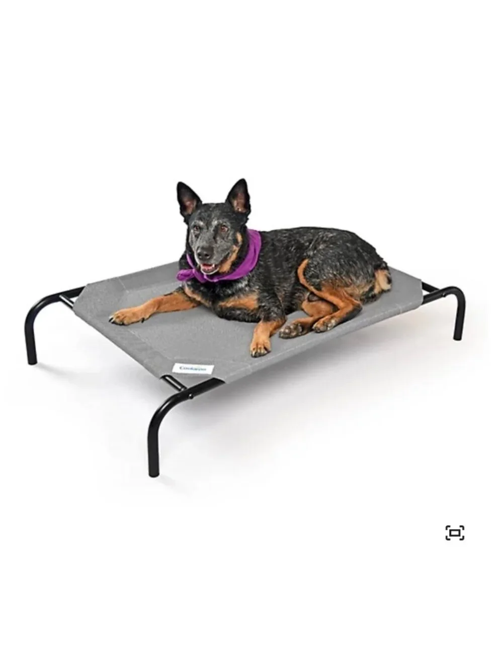 Coolaroo elevated pet